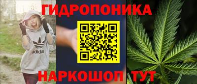 амф Партизанск