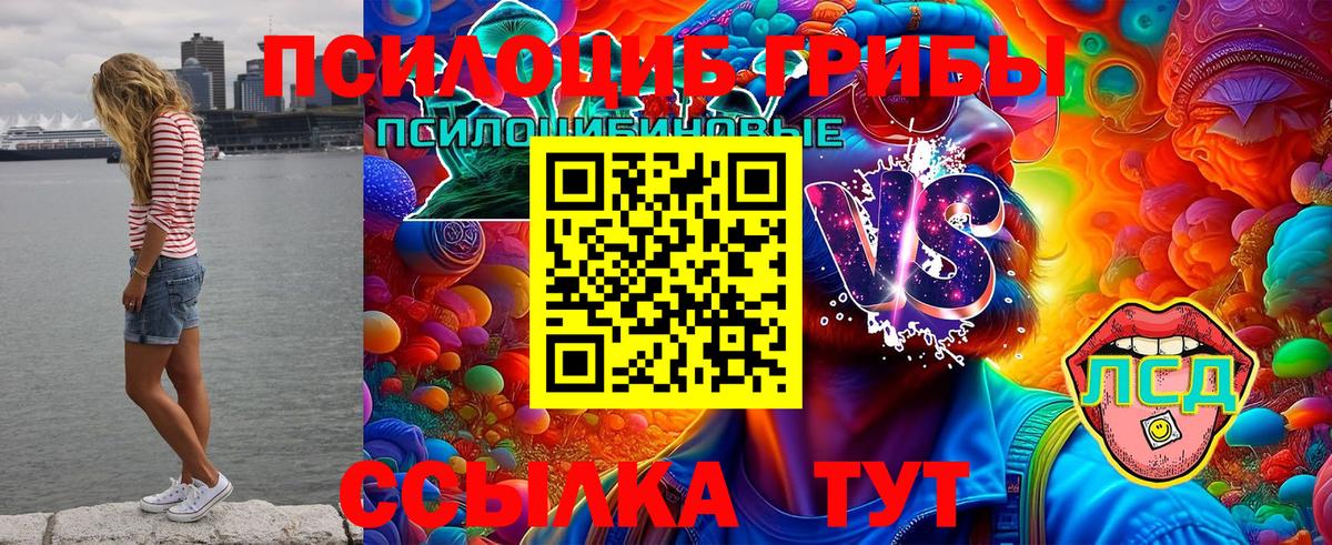Серпухов  Галлюциногенные грибы мицелий  Вход с VPN 