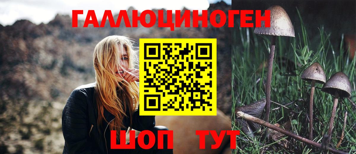 Псилоцибиновые грибы прущие грибы Серпухов